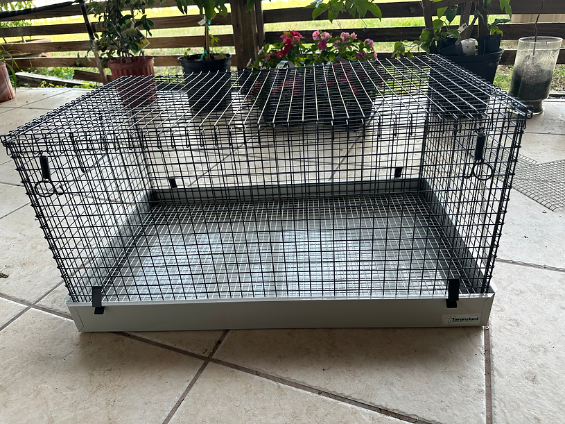 Large Baby Bird Cage - Image 2