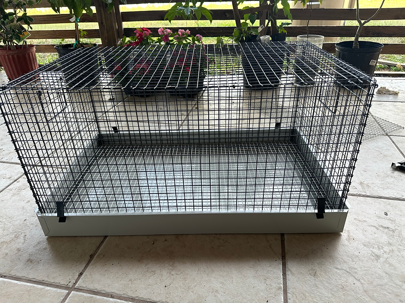 Large Baby Bird Cage